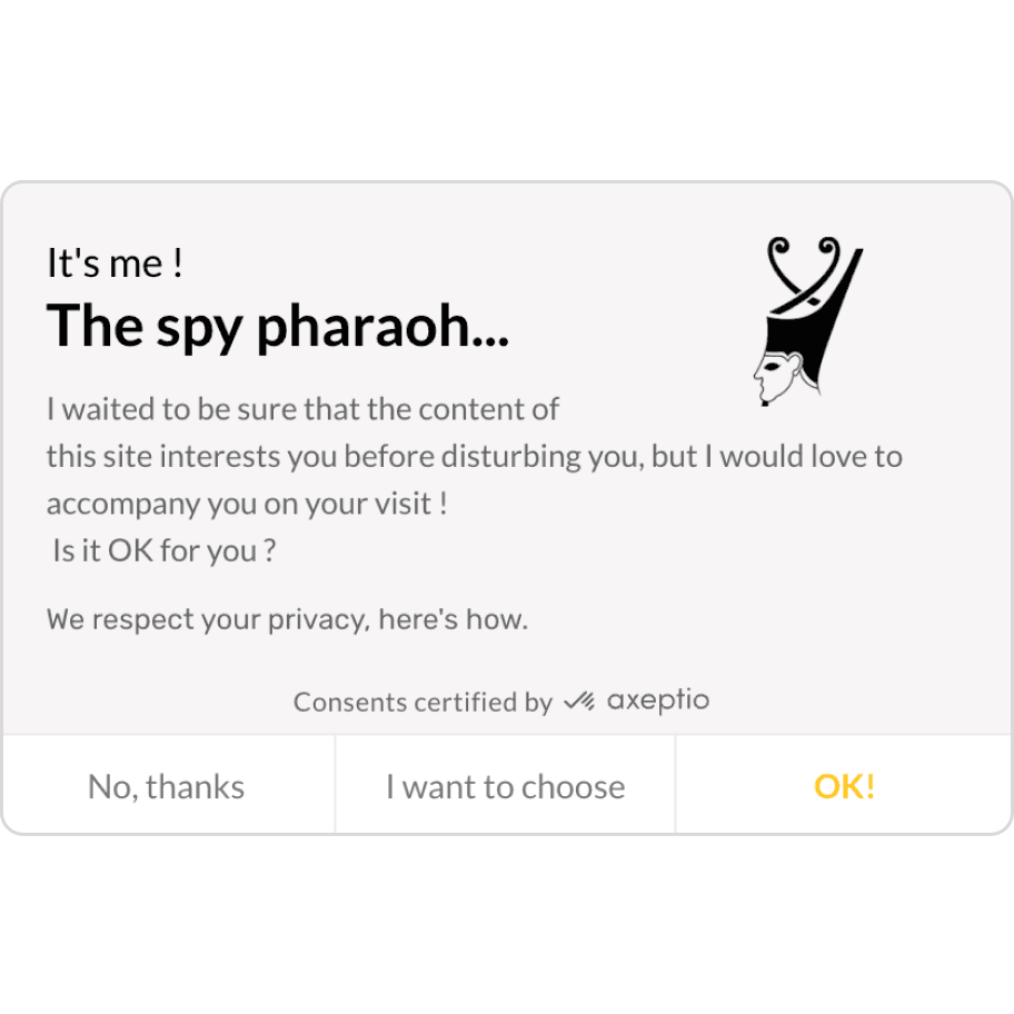 A creative cookie consent notice with 'no thanks' ' I want to choose' and 'ok!' options.